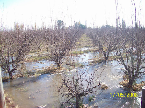 Riego en Finca