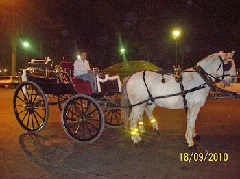 Alquile un medio de transporte no tradicional