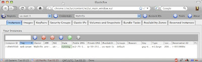 ElasticFox showing the tagged instance.