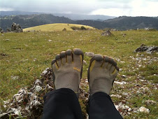 Top of Black Mtn