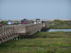 Bolsa Chica Ecological Reserve