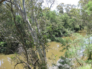 Melbourne Park Walk: River Edge Walk & Cherry Tree Grove Walk - Banksia Park – Bulleen - Victoria