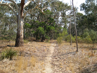 Melbourne Park Walk: Galatea Point Loop & Dights Falls Lookout - Yarra Bend Park - Kew - Victoria Melbourne Park Walk: Galatea Point Loop & Dights Falls Lookout - Yarra Bend Park - Kew - Victoria