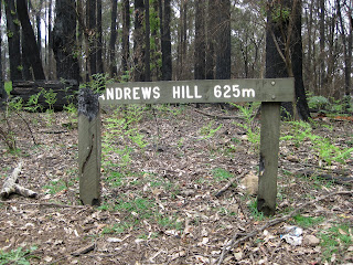 Mountain Creek Track to Andrew Hill - Kinglake National Park - Kinglake - Victoria