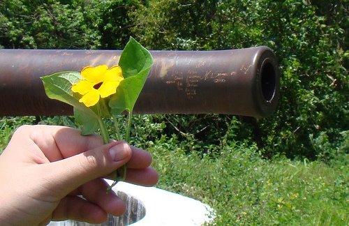 [FRÁGIL+FORÇA+DA+FLOR.jpg]