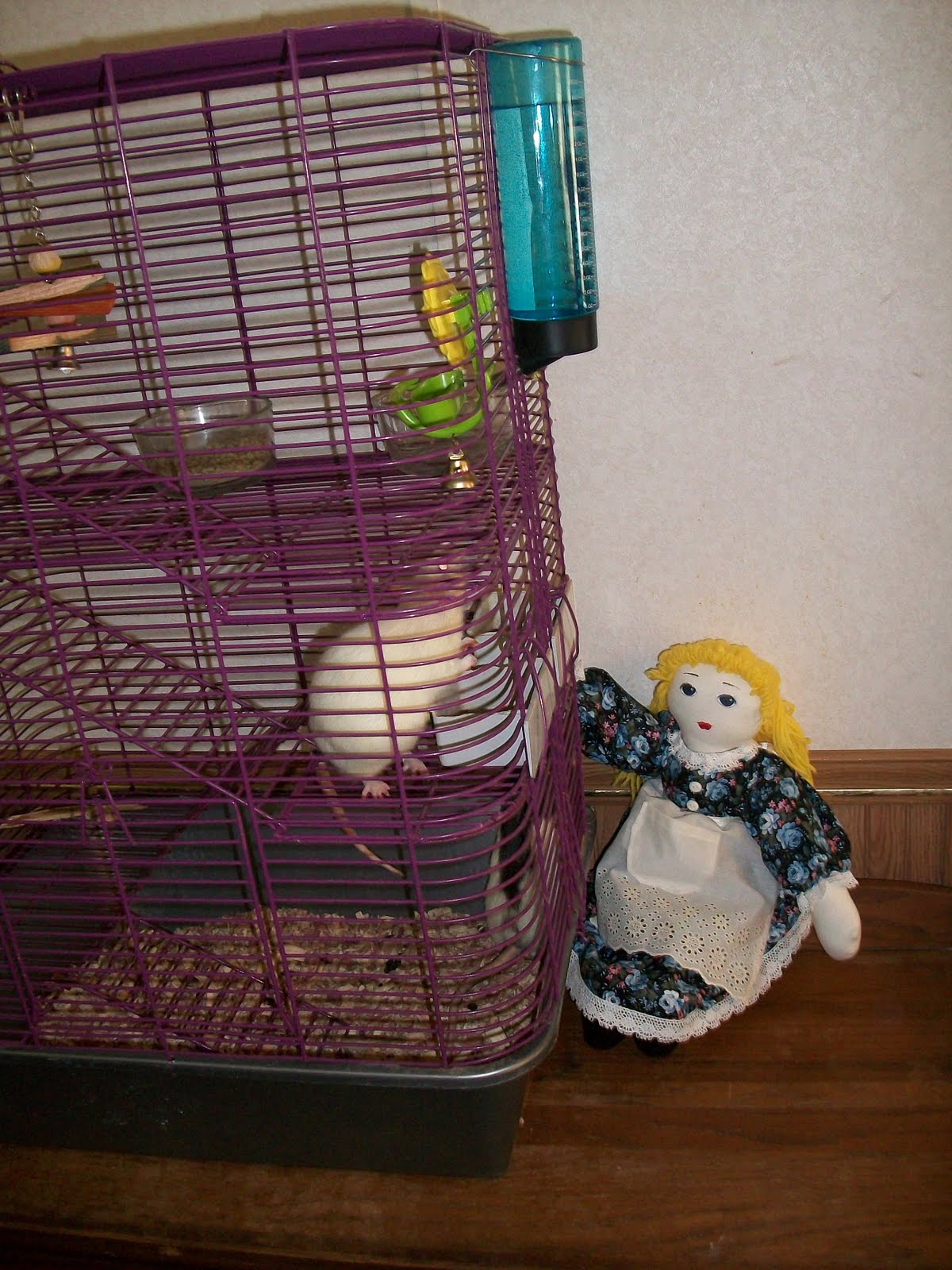 [2009_0804_114838AA.JPG]