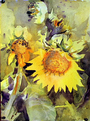 dark yellow close up of a sunflwer in watercolour