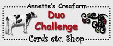 Duo-Challenge blogspot