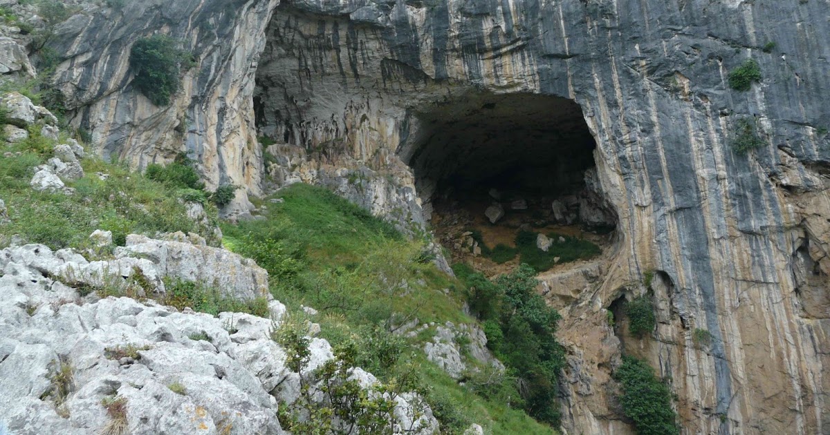 Sáltatela!!! (Si es necesario) Ramales de