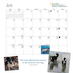 2010 Western Border Collie Calendars