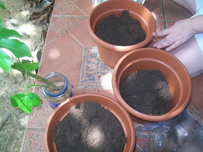 Mi Escuelita Montessori Homeschooling: Nuestro Huerto Casero