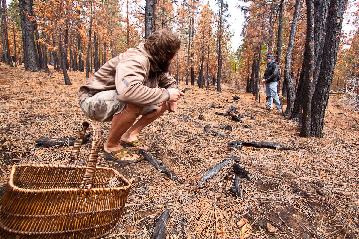 Unbound Exposure Morel Hunting