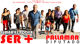 Juan-Pablo Pallamar Diputado Socialista por el Distrito 16