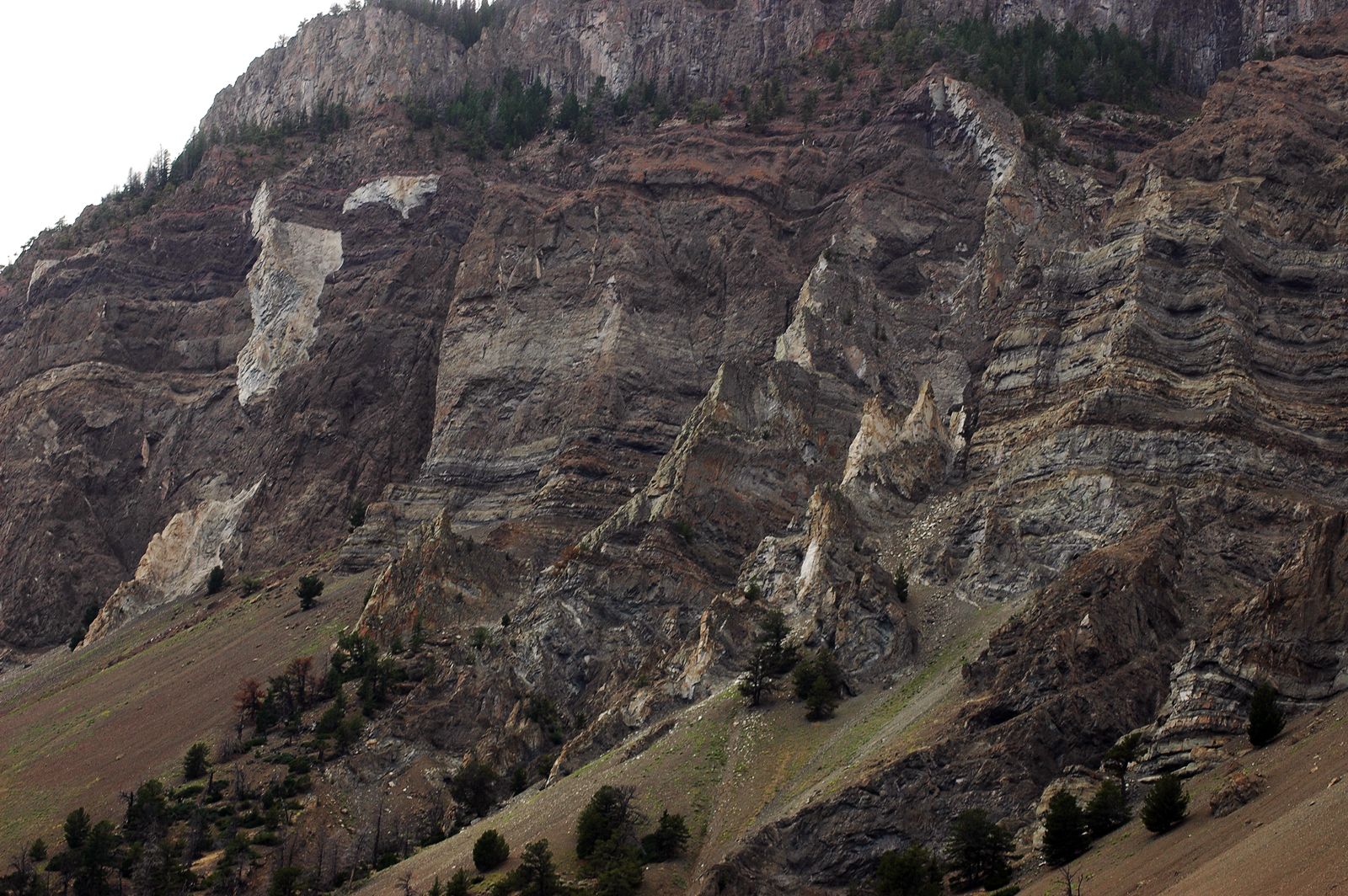 Happy Trails South Fork Road, Cody WY