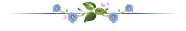 ist2_4961954-floral-dividers-illustratio