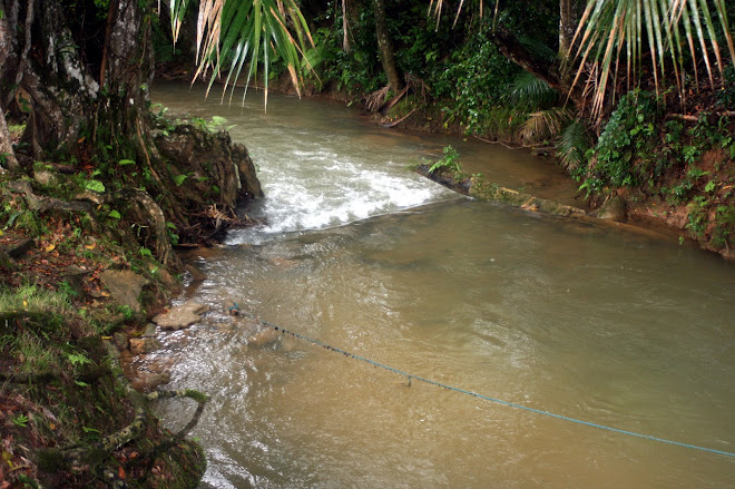 La Rivière Comate / El Rio Comate