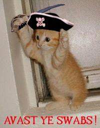Pirate_Kitty.jpg