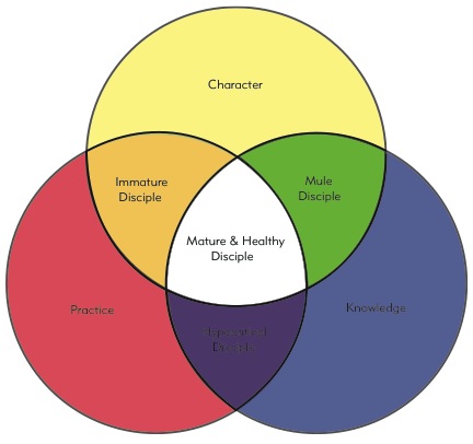 Missional Challenge: Discipleship Diagram