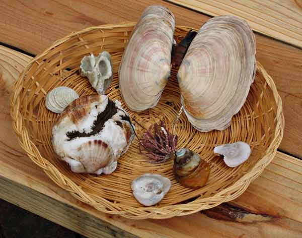 [IMG_0249-lo-res.jpg]