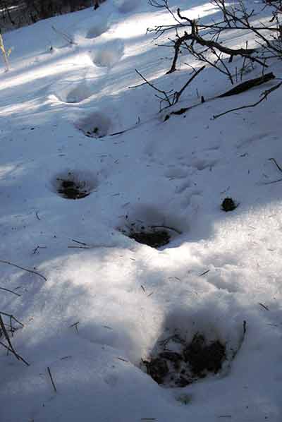 [IMG_0566-lo-res.jpg]