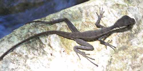 [IMG_1769-lo-res.jpg]