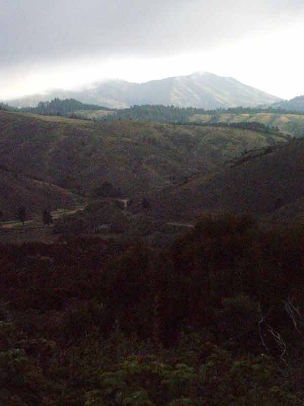 [P6123084-'-lo-res'.jpg]