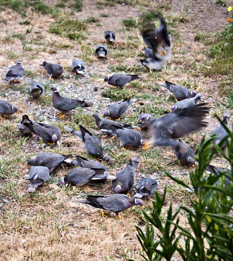 [IMG_3574-lo-res.jpg]