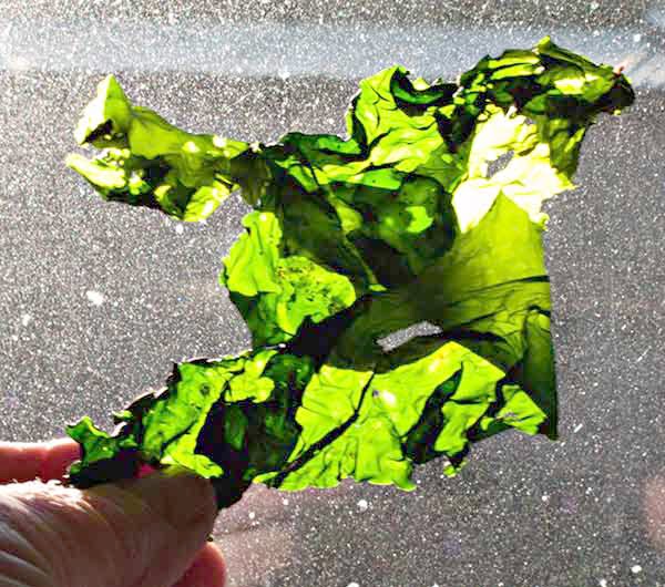 [IMG_5233-lo-res.jpg]