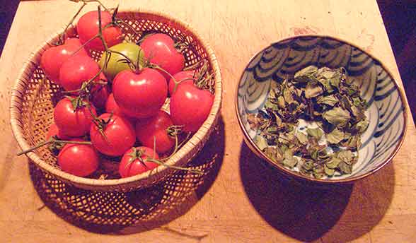 [IMG_8227-lo-res.jpg]