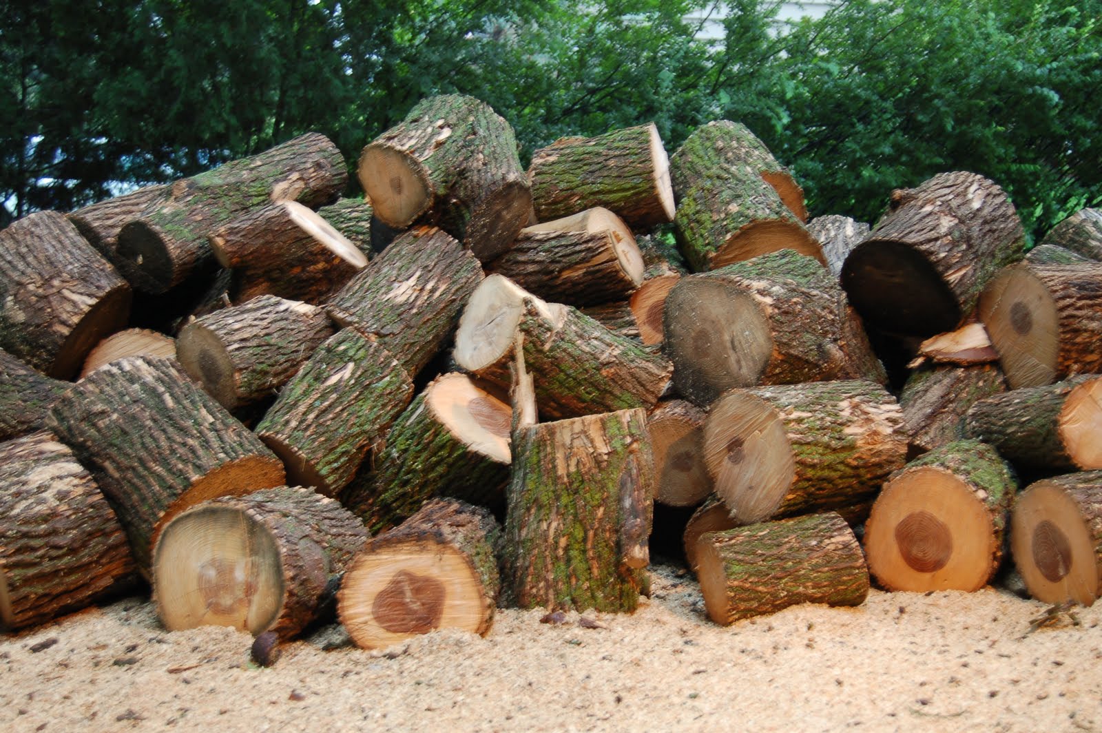 Savoring Servant Wood splitting