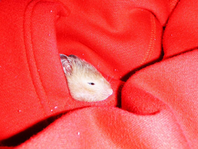 BUBBLELOVE: Milo Rambaldi