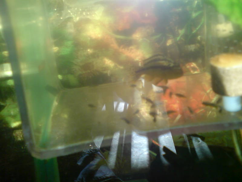[image-upload-11-765096.jpg]