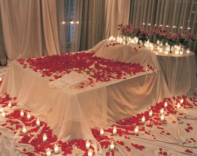 imagen romantica+san valentin+petalos