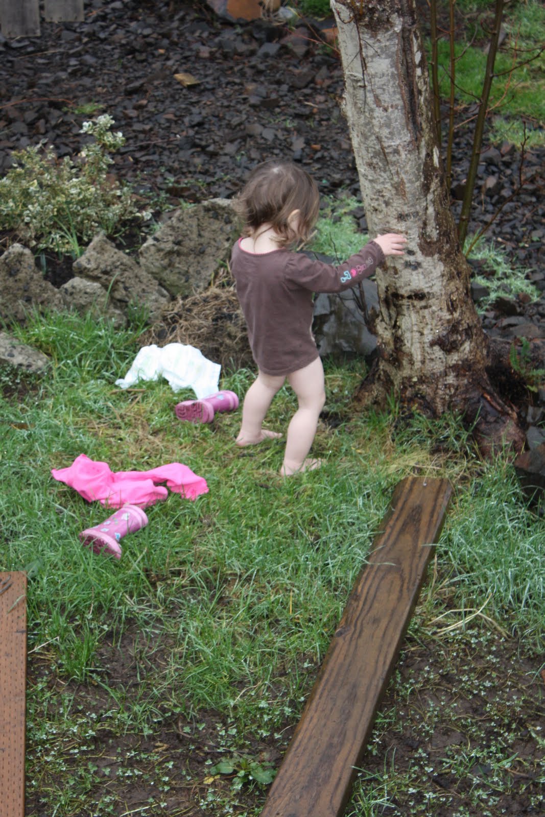 If I've Told You Once.... Find a Tree