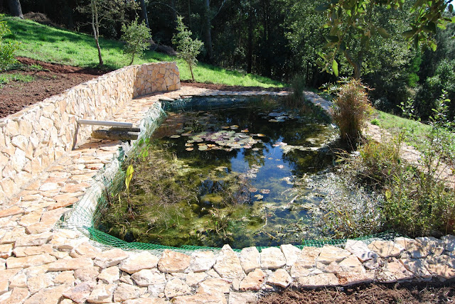 Das wahre Leben So´n büschen bekloppt ist ja ok. Wie baue ich einen