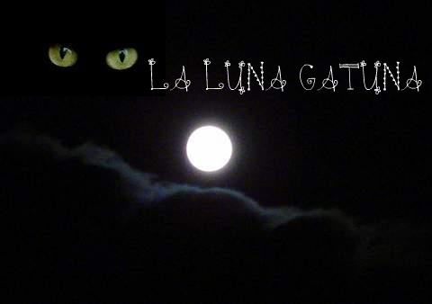 La Luna Gatuna