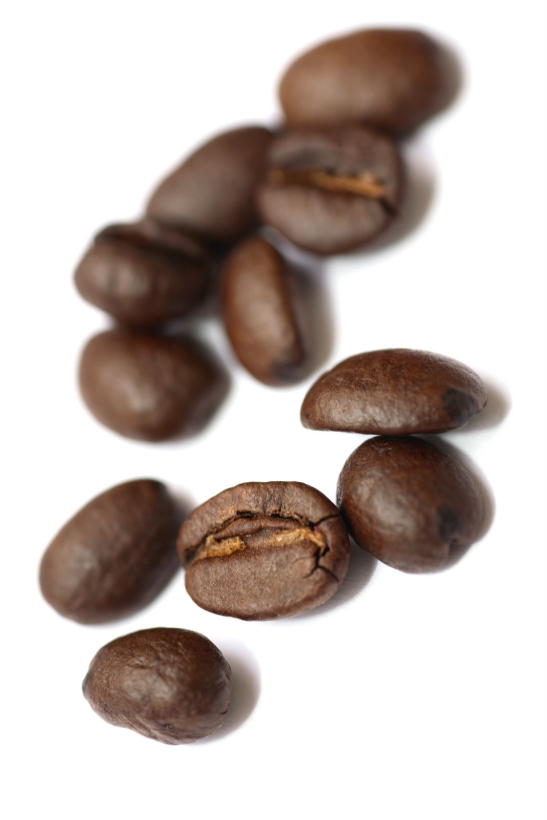 [Kaffebönor.jpg]