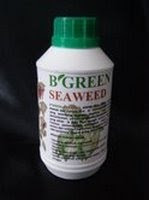 The Best For Your Plants!