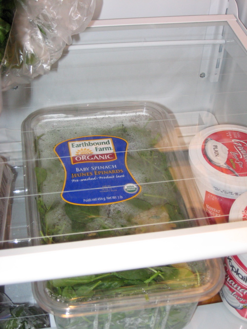 [spinichpackage.jpg]