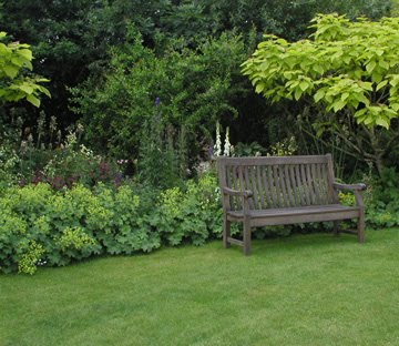 Cathy's Green Thumb: Garden Inspiration