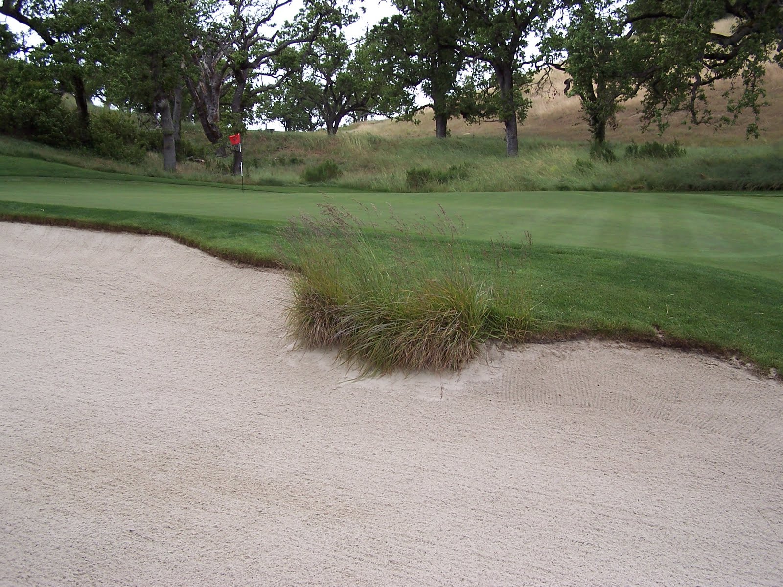 Santa Lucia Preserve Small Ornamental Grass Removal Project