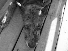 YES, I'M THE DAD OF ALL NINE