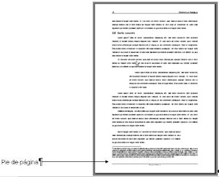 Leer Libros: Book Designer. Notas al pie de pagina