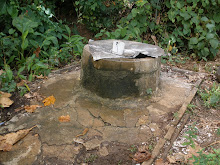 The Well on the Island of Tonoas