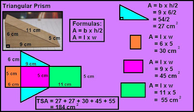 817 Math (2009): February 2010