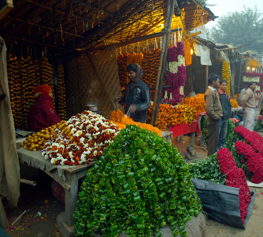 [New+Delhi-Flower+Market+3.jpg]