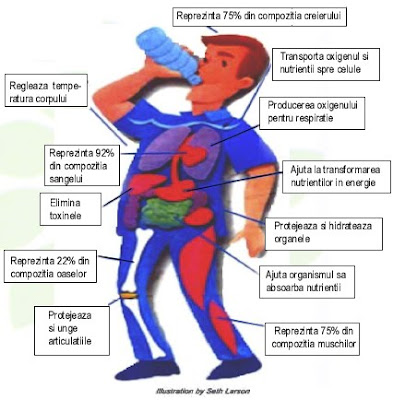 cat de mult inseamna apa pentru organism