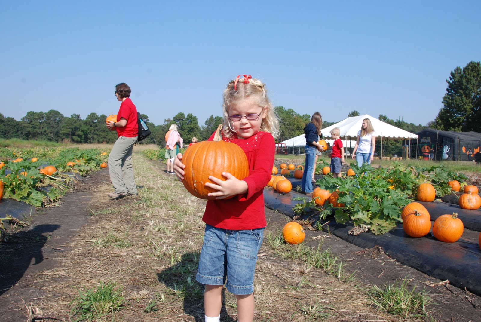 The Robinson's Life: Pumpkin Patch