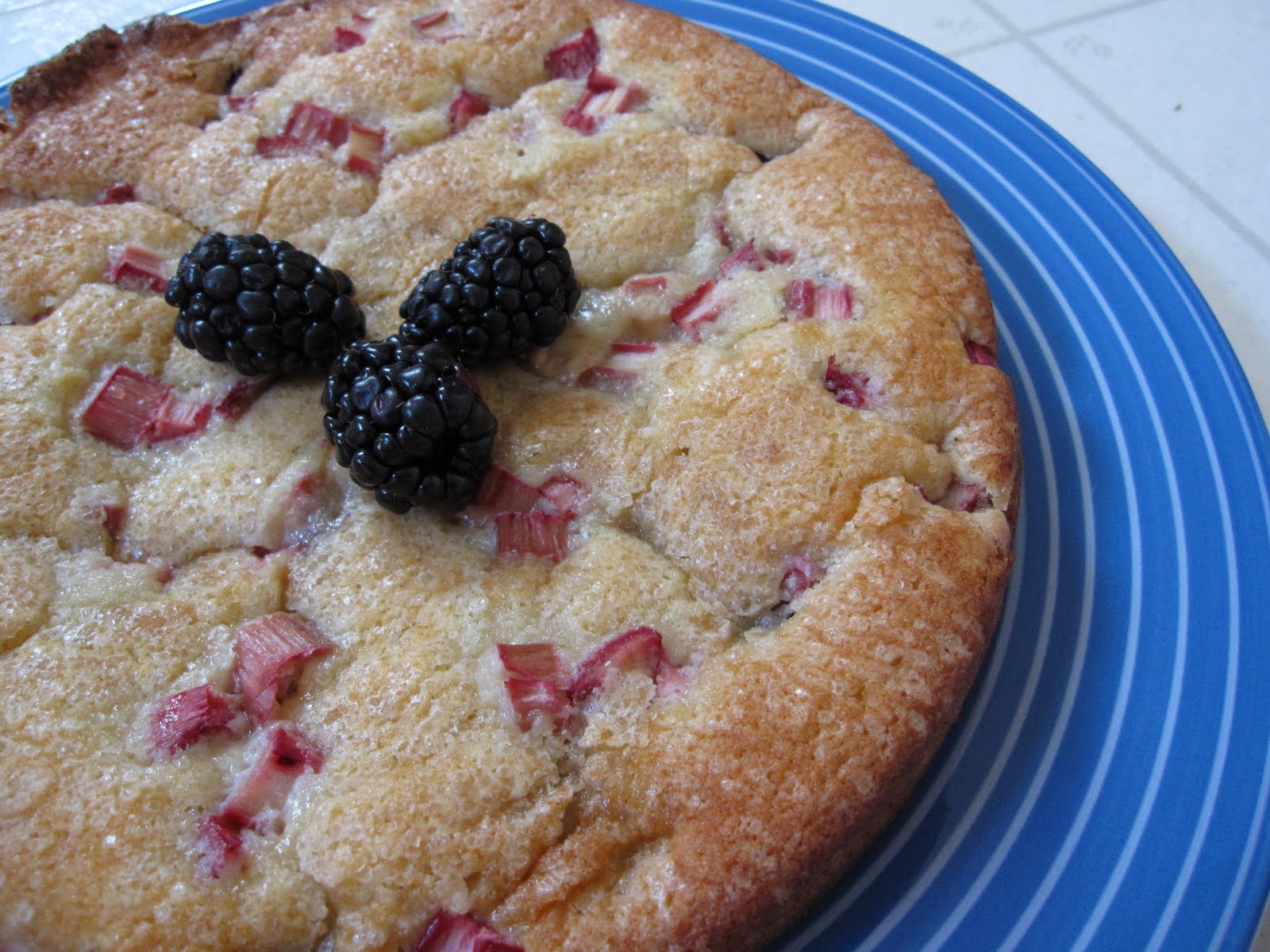 The Scratch Patch Blackberry Rhubarb Buttermilk Cake