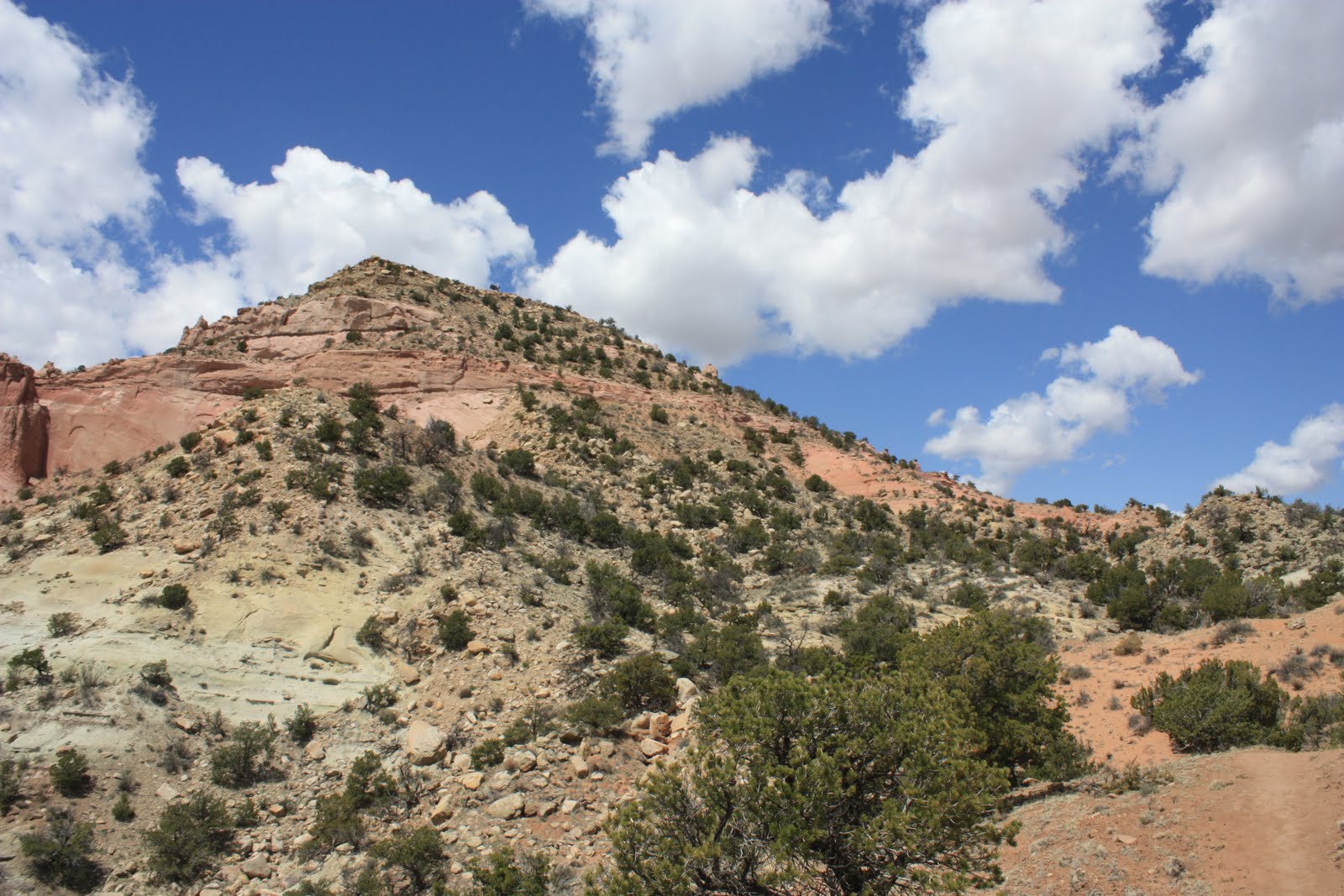 Brevity is the Soul of Witlessness